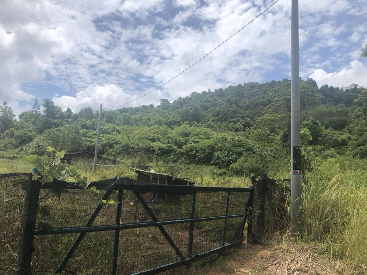 Tanah Dusun 8.06 Ekar Freehold Pokok Sena Kedah Dekat Langgar Alor Setar 7 Lot Bersambung