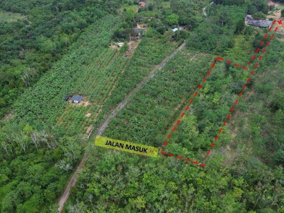 Tanah Pertanian 1.28 Ekar Freehold Linggi Negeri Sembilan Rezab Melayu Tanah Rata