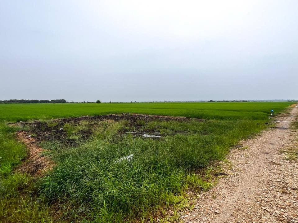 Tanah Sawah 1.5 Ekar Freehold Sabak Bernam Pasir Panjang Jalan Tali Air 9