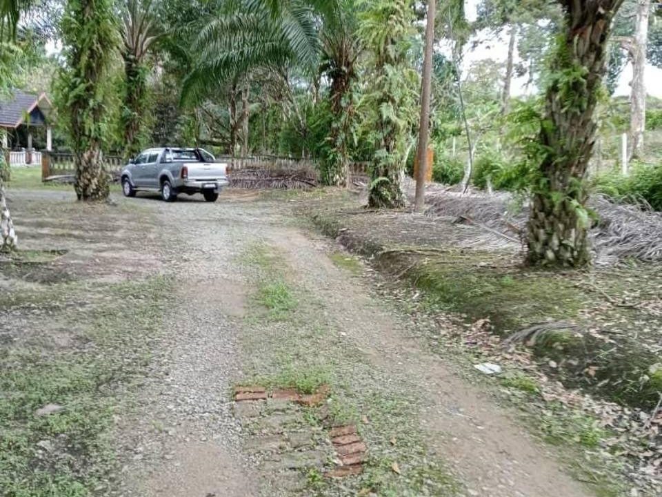 Tanah Pertanian 3.88 Ekar Gunung Pulai Kulai Johor Freehold Akses Jalan