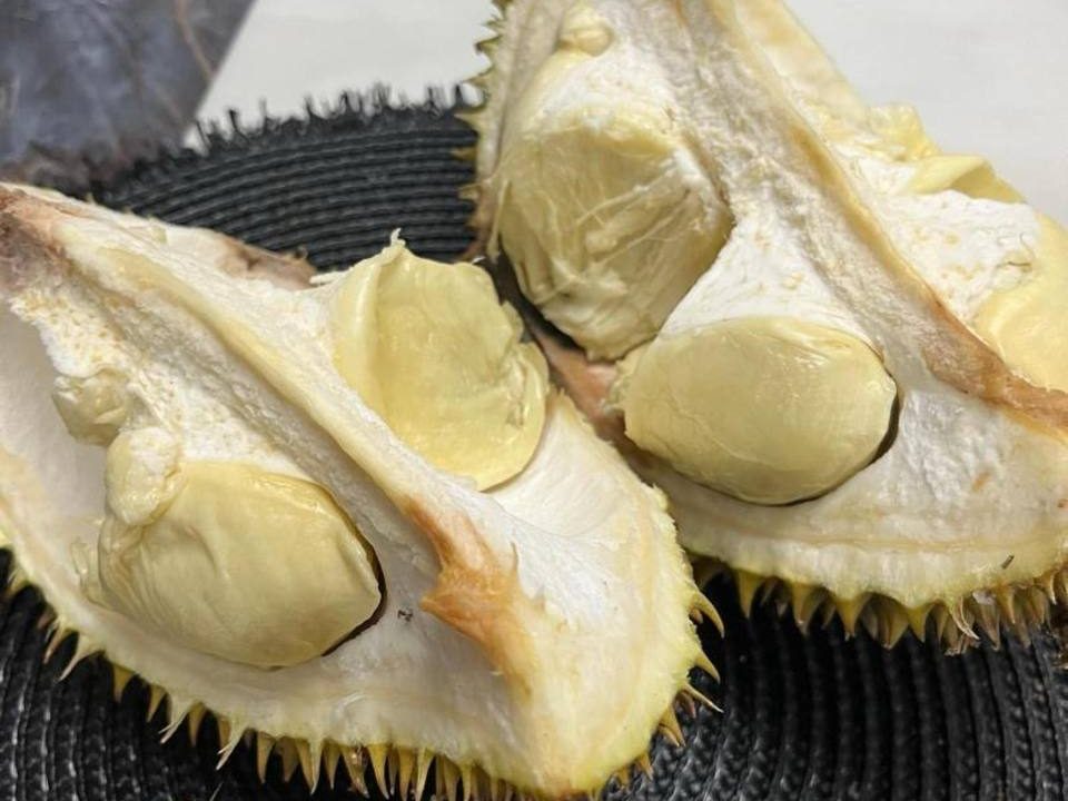 Dusun 3.3 Ekar Slim River Pokok Durian Akses Kereta