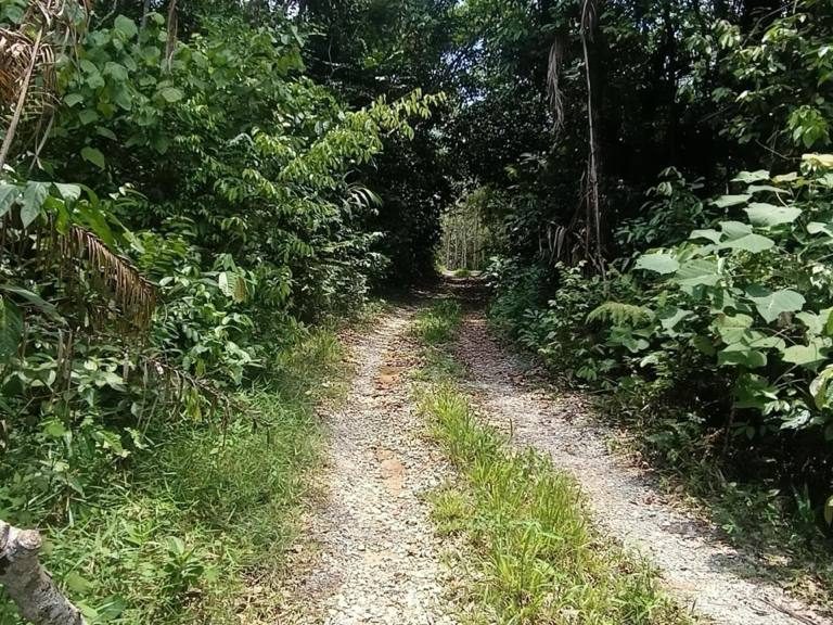 Tanah 5.3 Ekar Slim River Freehold Tanah Rata Akses Jalan Siap