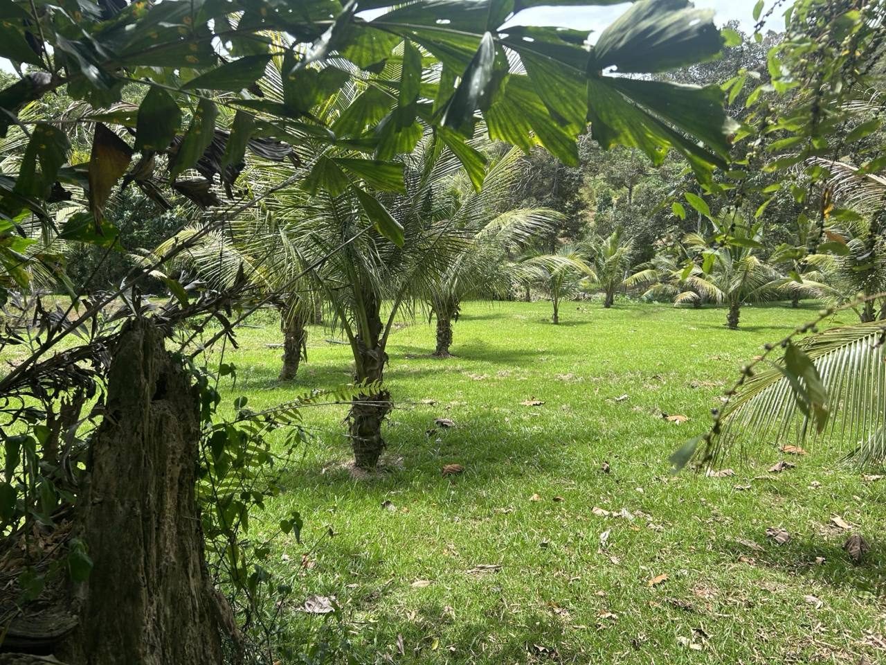 Tanah Pertanian 1 Ekar Ada Kolam Kg Panchor Senawang