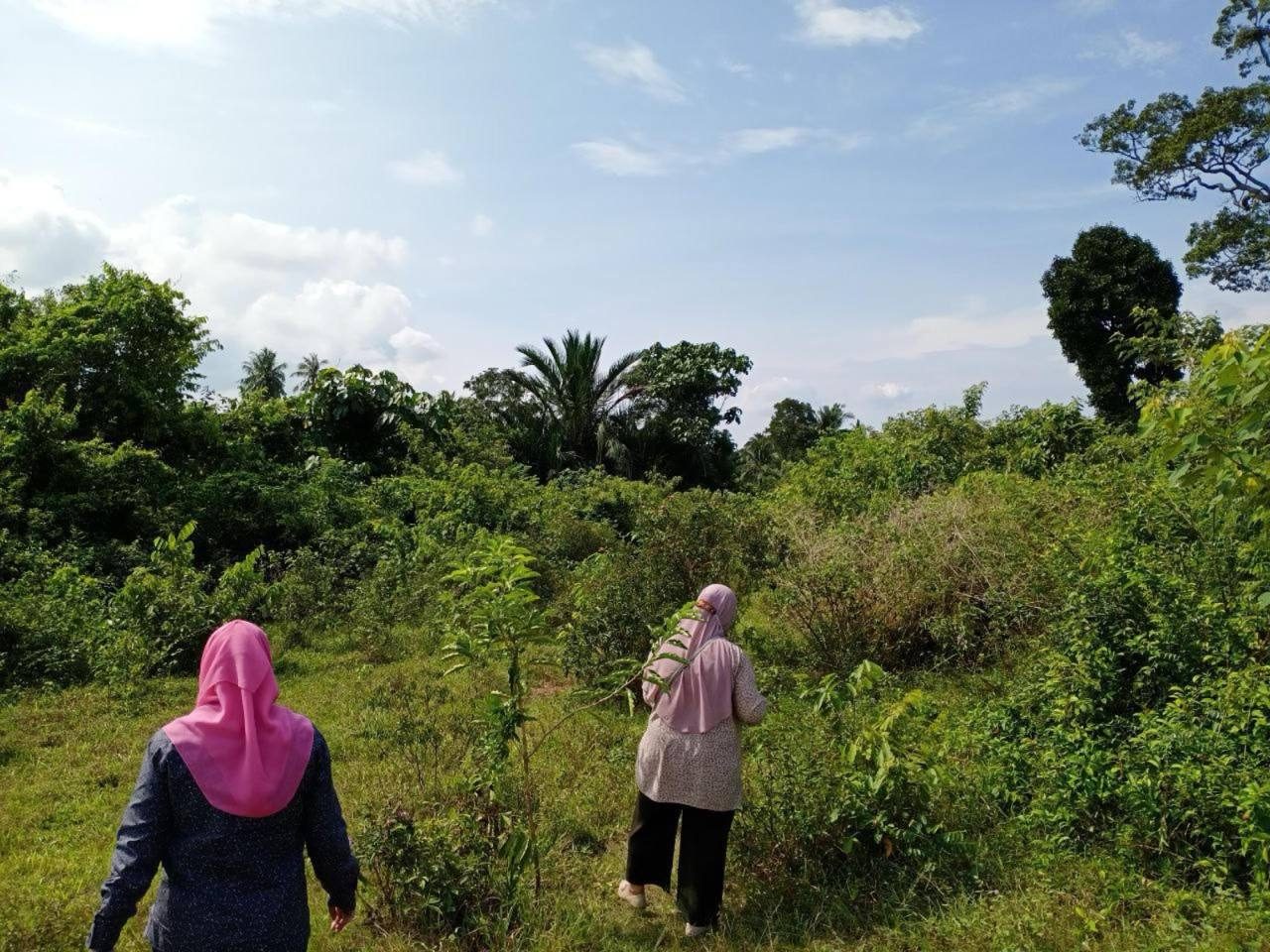 Tanah Pertanian 2.3 Ekar Masjid Tanah Melaka Tanah Rata