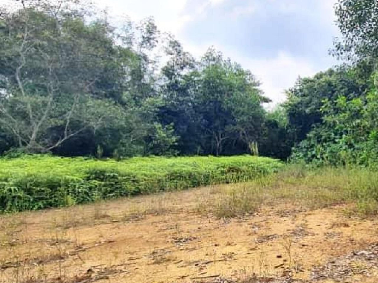 Tanah Lot Banglo Bukit Damar Dengkil Dekat Cybersouth 9988 sqft