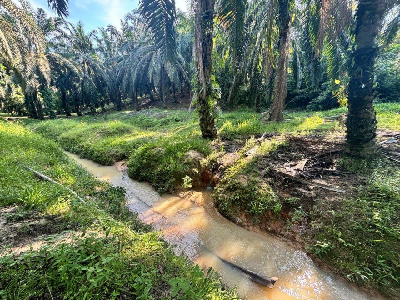 Tanah Lot Banglo Tepi Jalan Utama Pagoh Muar Johor 8019 sqft