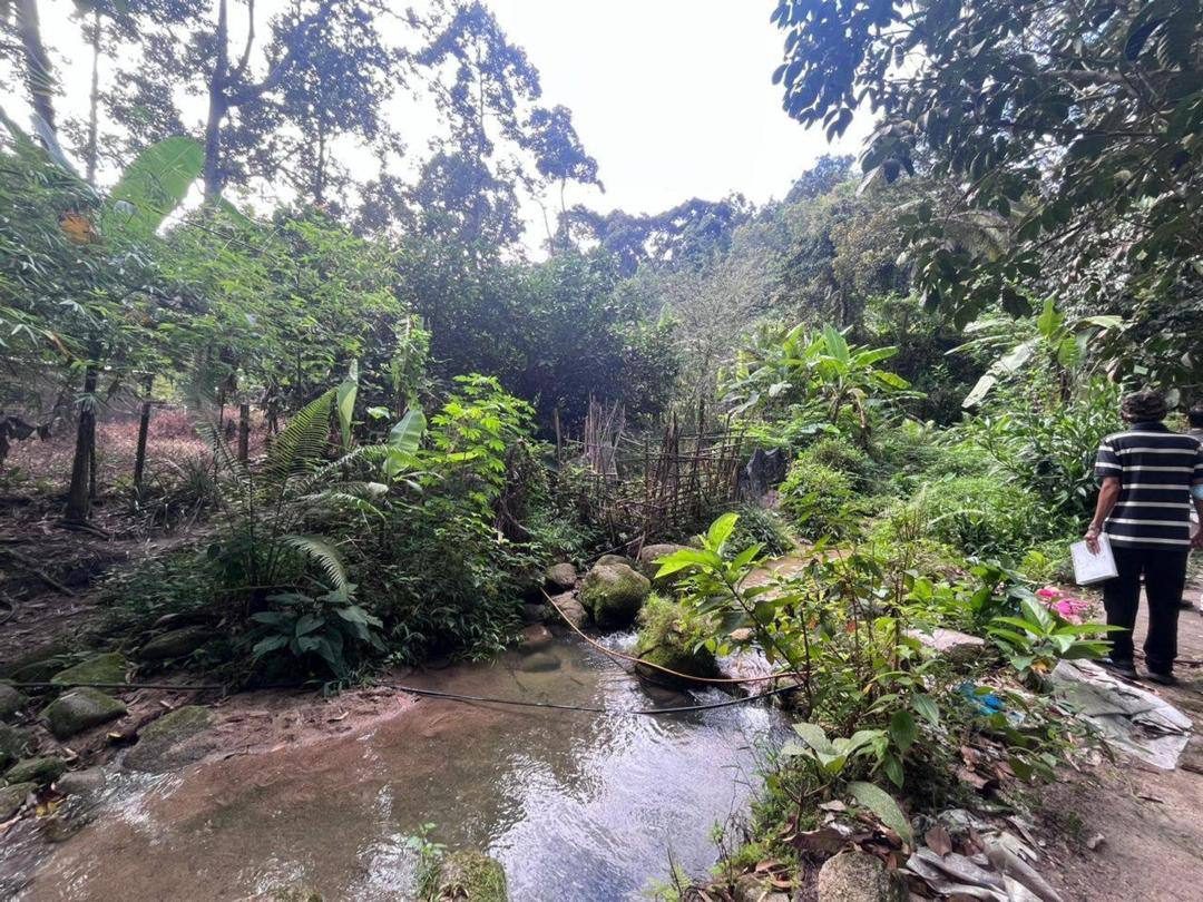 Tanah 27.27 Ekar Bayan Lepas Pulau Pinang Berhampiran Airport Freehold