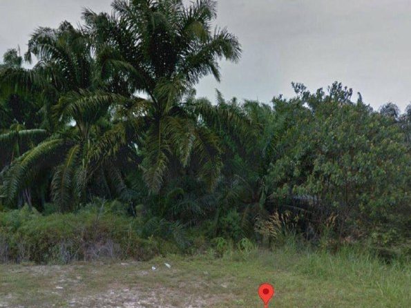 Tanah Sedenak Kulai Johor 1138 Ekar Freehold