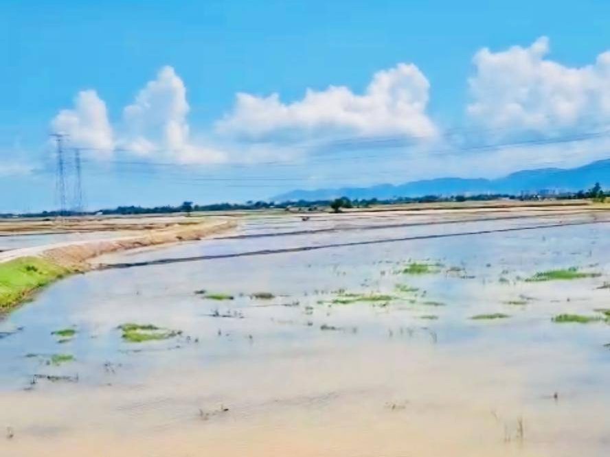 Tanah Sawah First Grade 20,763 sqft Kepala Batas Seberang Perai Utara Dekat Bertam