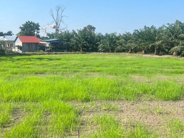 Tanah Sawah Padi Di Kampung Cegar, Tasek Gelugor