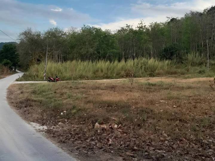 Tanah Kampung 1.13 Ekar Mukim Derang Pokok Sena Geran Individu Freehold