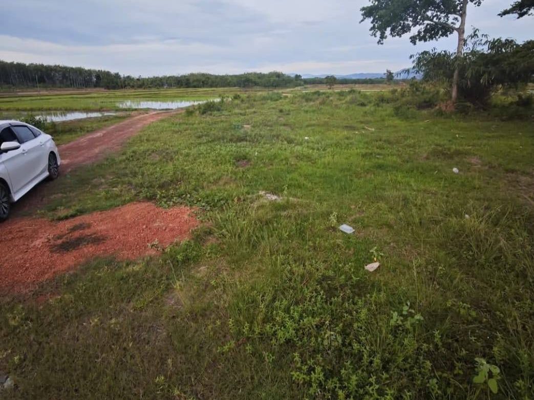 Tanah Bendang 2.5 Ekar Mukim Sungai Laka Kubang Pasu Freehold Rezab Melayu