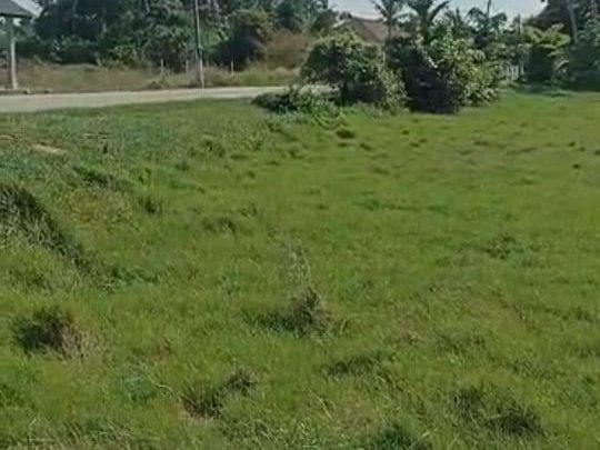 Tanah Besar Tepi Jalan Pasir Gebu Penaga Seberang Perai Utara First Grade 0.73 Ekar