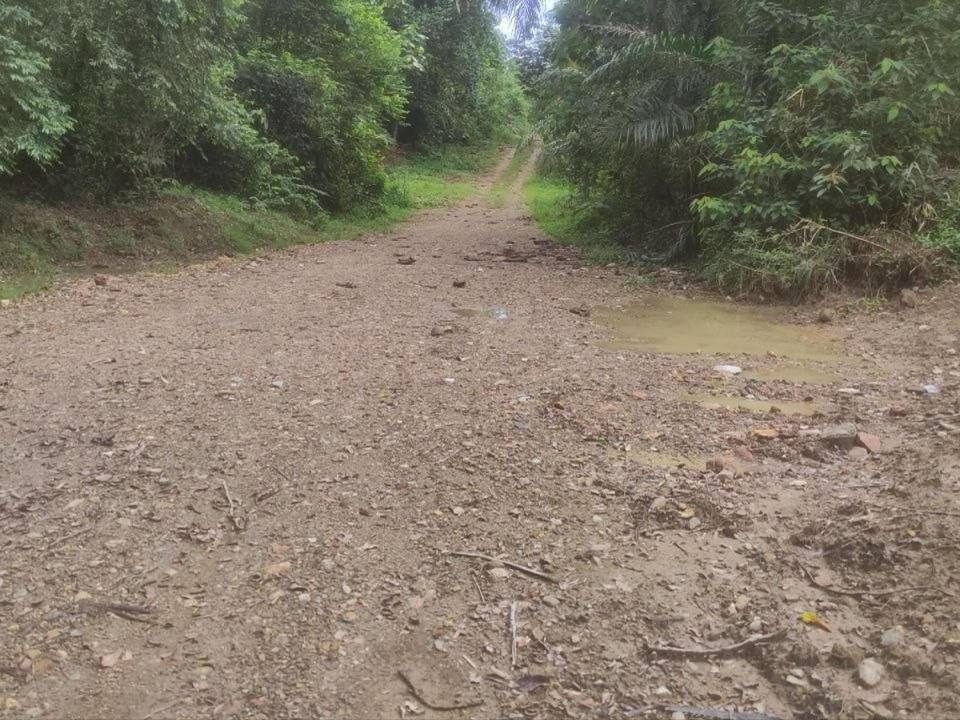 Tanah 2 Ekar Ulu Rening Batang Kali Freehold Tepi Sungai