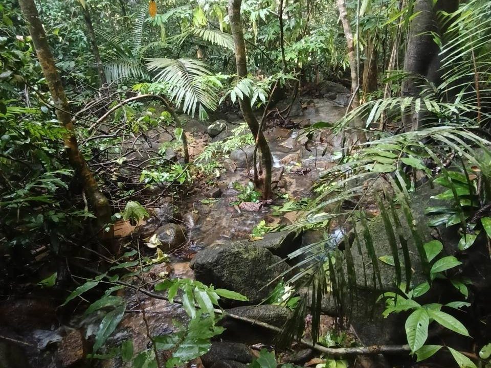 Tanah 3 Ekar Kampung Sungai Bil Slim River Freehold Ada Sungai