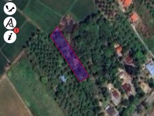 Tanah 19547 sqft Semadong Beseri Perlis Freehold
