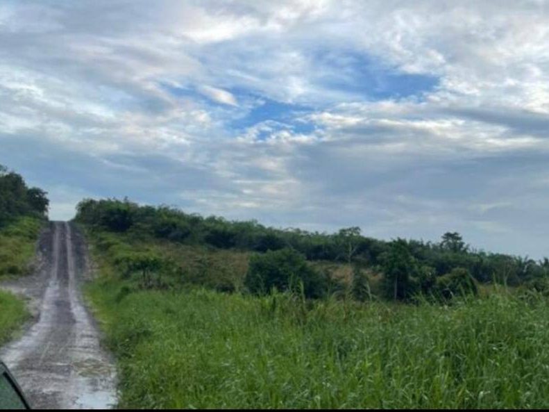 Tanah 2 Ekar Kg Sungai Perdana Ulu Tiram Freehold