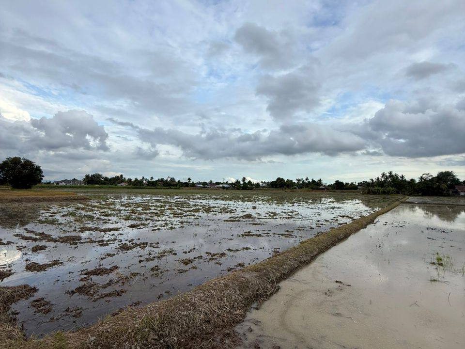 Tanah Bendang 1.75 Ekar Kepala Batas Tepi PLUS Highway Bertam