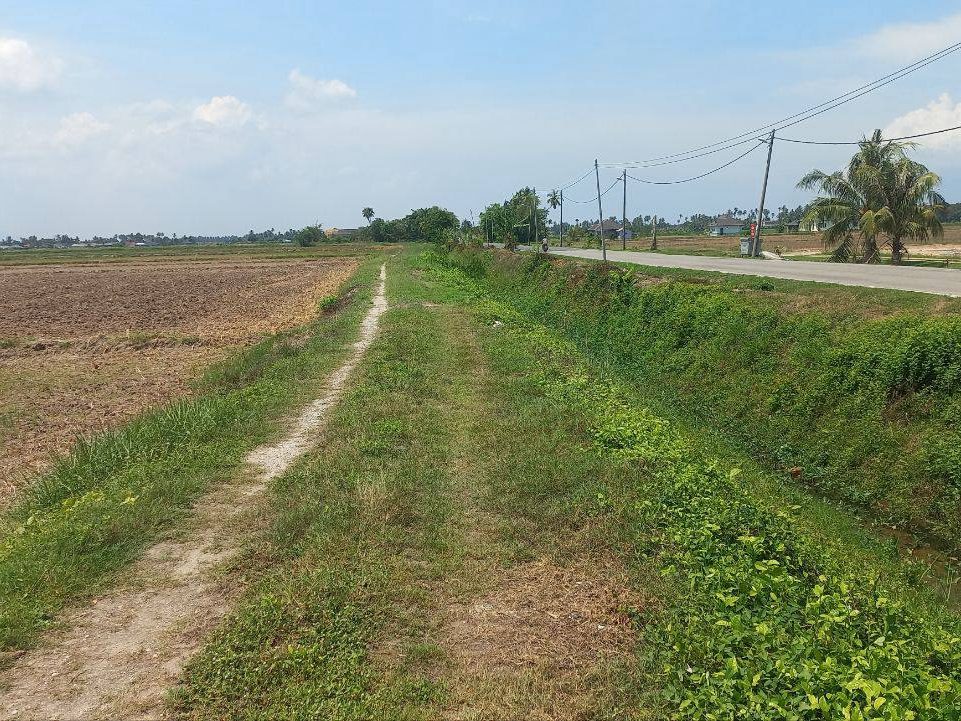 Tanah Bendang 41,301 sqft Tepi Jalan Utama Penaga Kuala Muda SPU