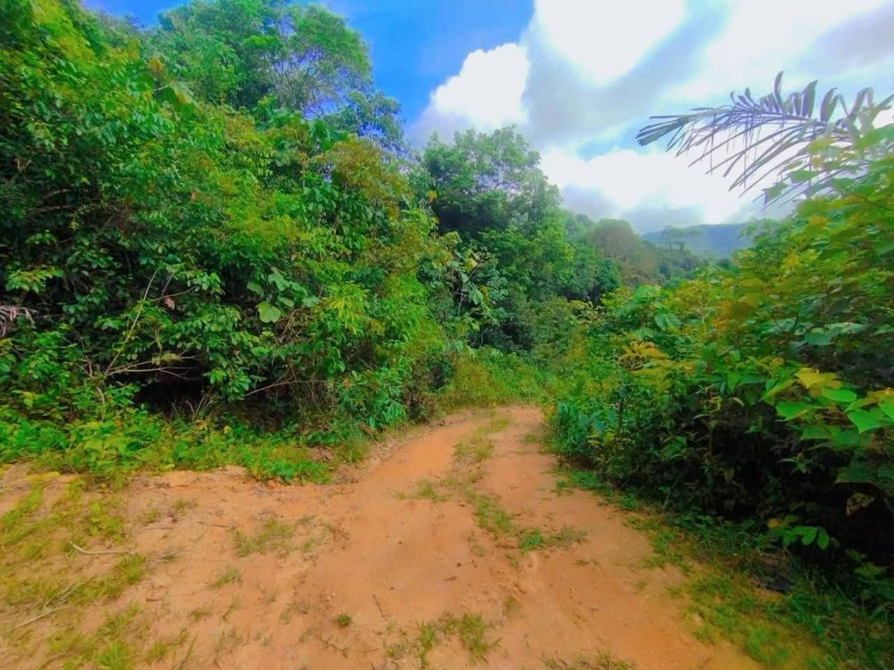 Tanah 2 Ekar Freehold Tanjung Ipoh Negeri Sembilan Ada Sungai & Dusun