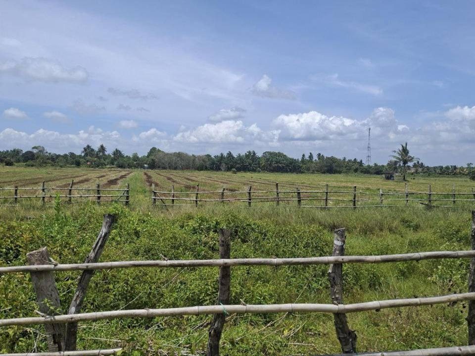 Tanah Pertanian 0.8 Ekar Pantai Sepat Kuantan Freehold Dekat Pantai