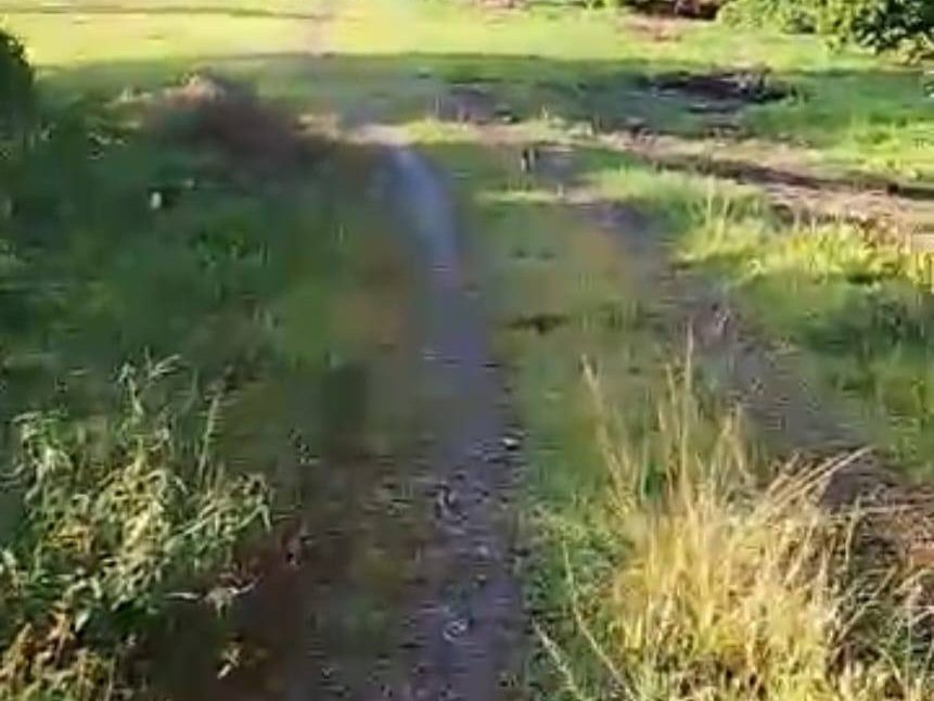 Tanah 1 Ekar Tepi Sungai Sedim Kulim Freehold