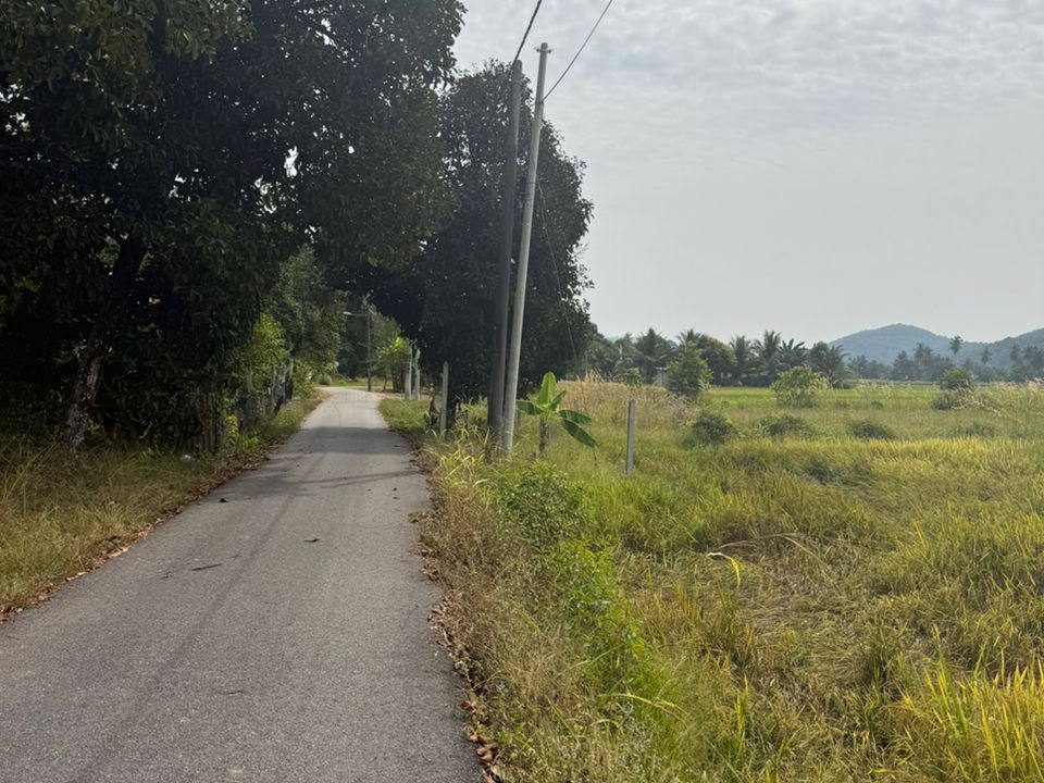 Tanah Bendang 12,378 sqft Tikam Batu Sungai Petani Freehold Murah