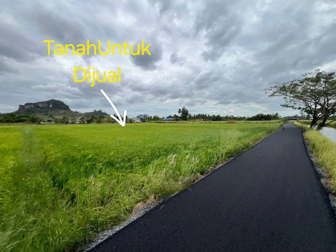 Tanah 2.65 Relong Freehold Kg To’daboi Beseri Perlis Tepi Jalan