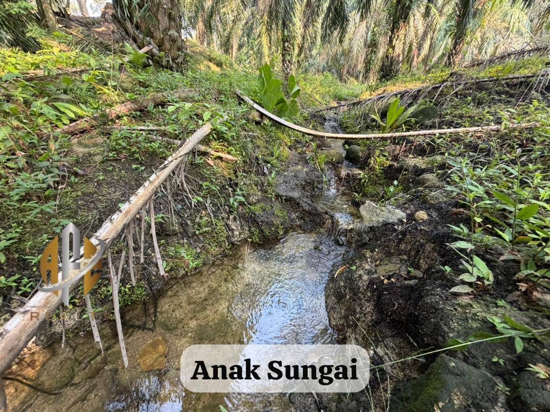 Tanah Dusun + Sawit 2.3 Ekar Ada Sungai Sungai Tengas Kulim