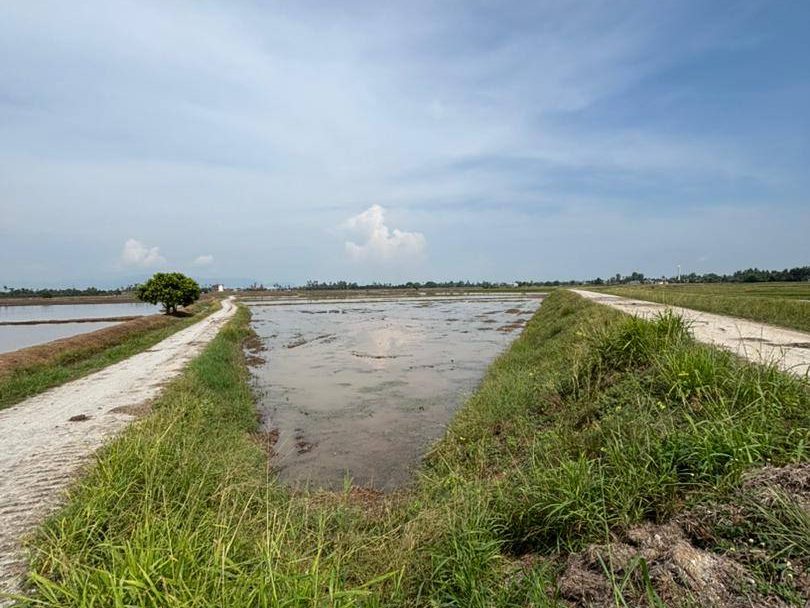 Tanah 70,821 sqft Freehold Permatang Kerai Kepala Batas Geran Mukim First Grade