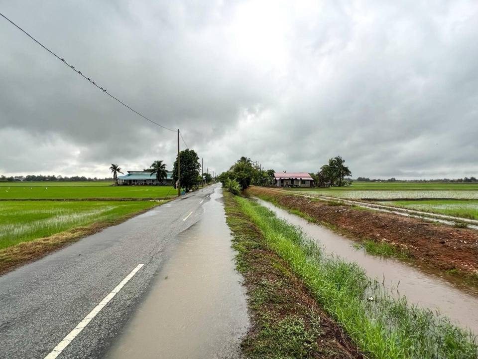 Tanah Sawah 1.37 Ekar Parit 6½ Timur Sungai Besar Freehold Kawasan Homestay