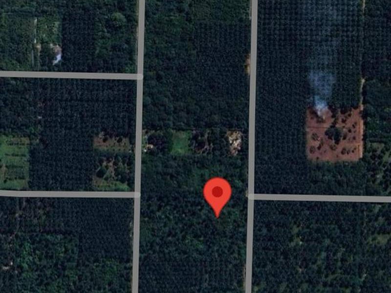 Tanah 1 Ekar Tanjong Sepat Pokok Sawit Freehold Akses Jalan Persekutuan 5