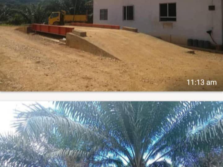 Tanah Kelapa Sawit 2118 Ekar Kuantan Pahang Tepi LPT Hasil Sedia Ada