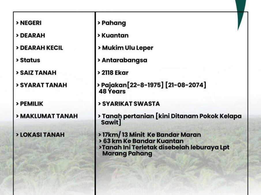 Tanah Kelapa Sawit 288 Ekar Segamat–Kuantan Freehold Akses Lebuhraya