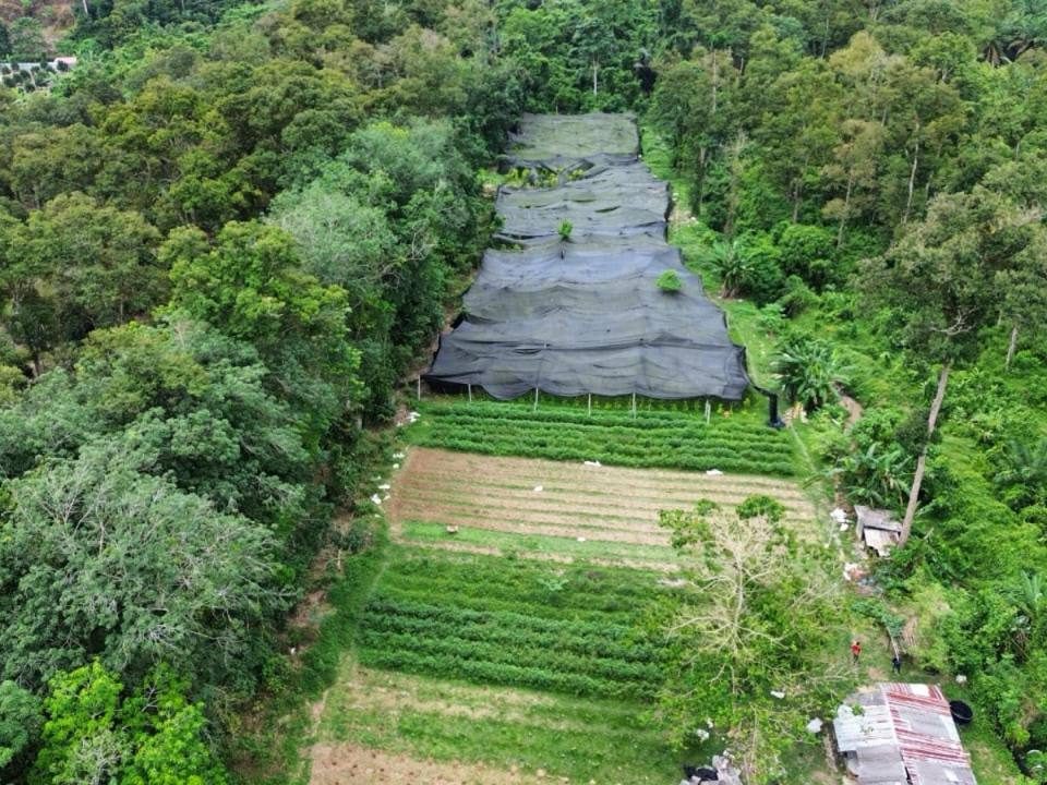 Tanah Pertanian 2 Ekar Ulu Mantin Negeri Sembilan Freehold Geran Individu Akses Jalan