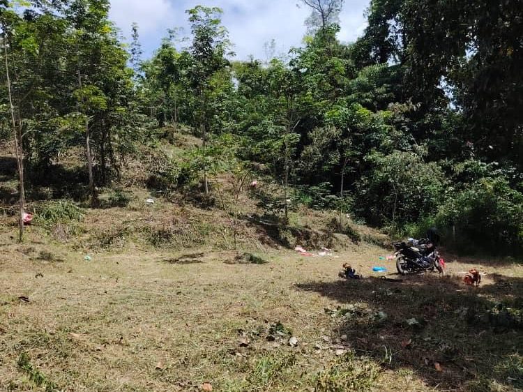Tanah Kebun 1.12 Ekar Kg Hosba Jitra Kedah Geran Individu Freehold Rata Ada Akses Jalan Sesuai Rumah Dusun