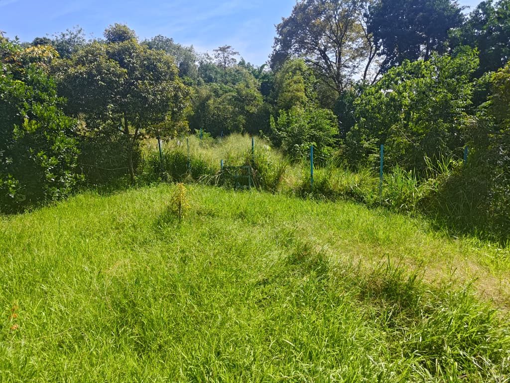 Tanah Kebun 0.96 Ekar Bukit Indera Muda Bukit Mertajam Freehold Siap Pagar Ada Gazebo Pokok Durian