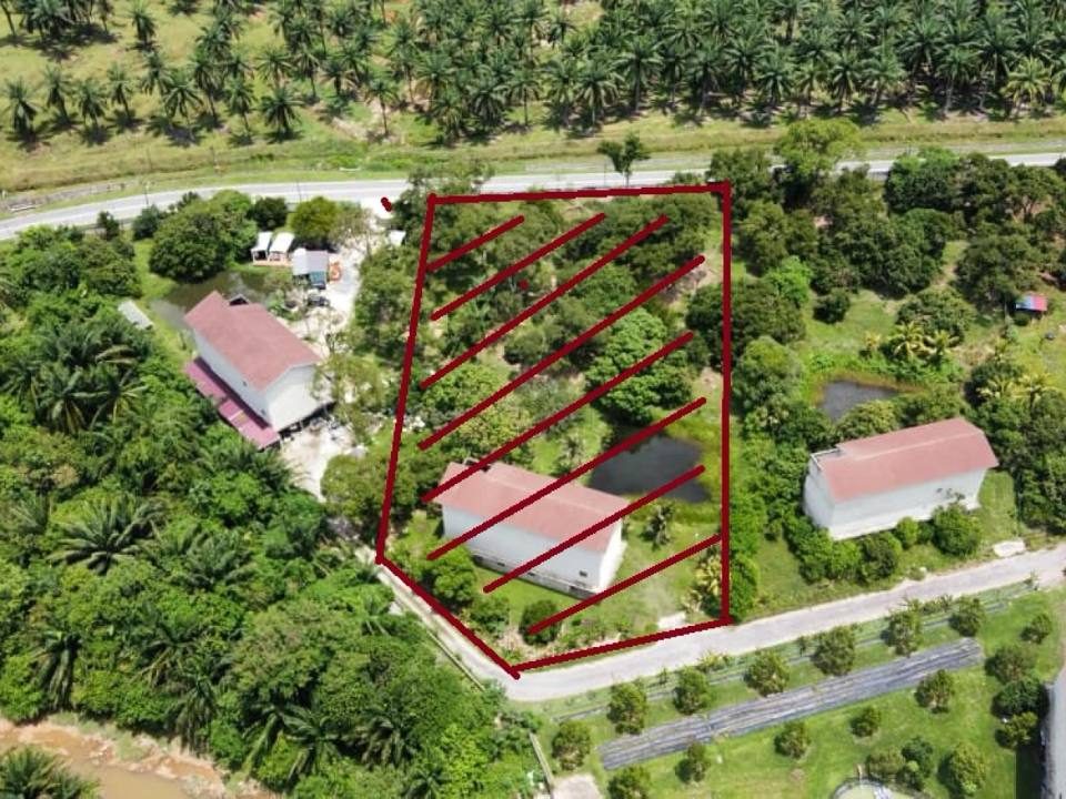 Bangunan BW 4 Tingkat 1.4 Ekar Rantau Seremban Freehold Geran Individu Kawasan Swiftlet Eco City