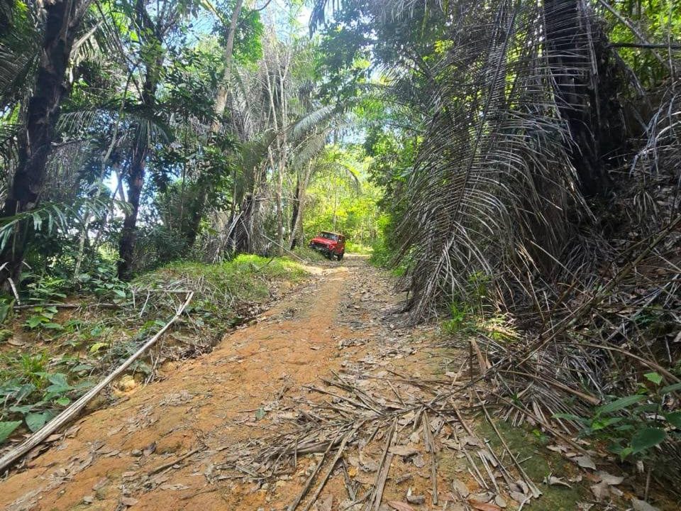 Tanah 2.8 Ekar Tanjung Ipoh Kuala Pilah Negeri Sembilan Freehold Akses Jalan Ada Tapak Rumah