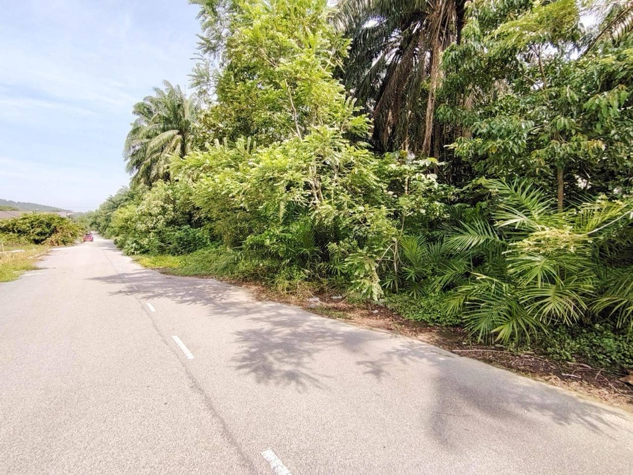 Tanah Pertanian 10.9 Ekar Freehold Jenderam Hulu Dengkil Selangor Dekat Jalan Utama