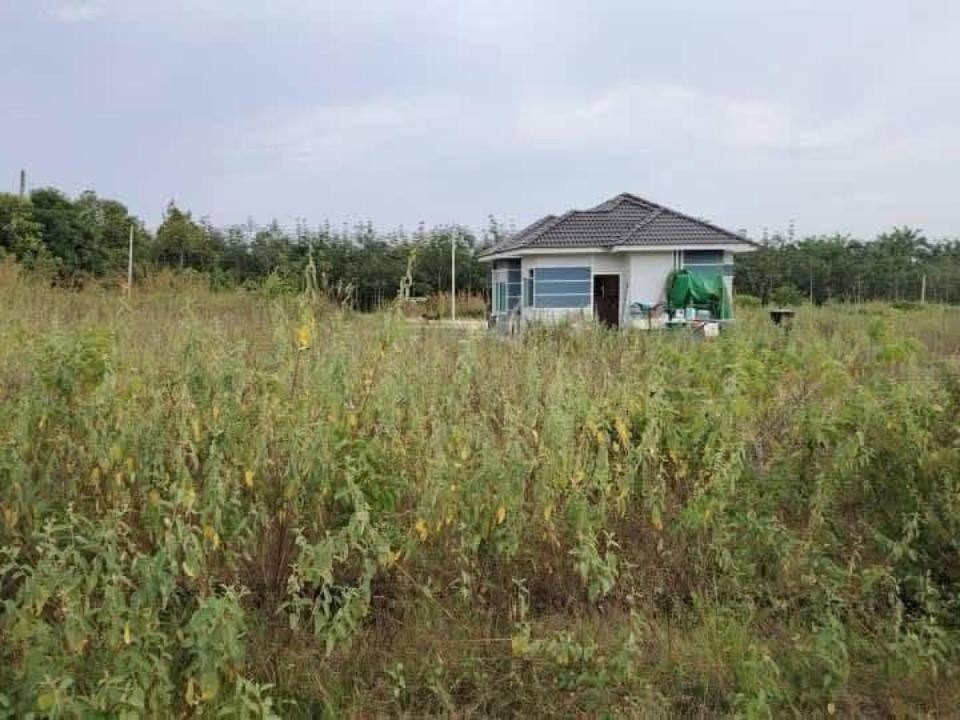Tanah Lot Banglo Corner 4,284 sqft Jitra Kedah Freehold Geran Individu Dekat PLUS
