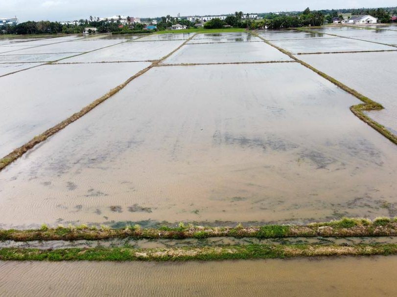 Tanah 4.73 Ekar Sawah Padi Seriab Perlis Freehold Zoning Perumahan