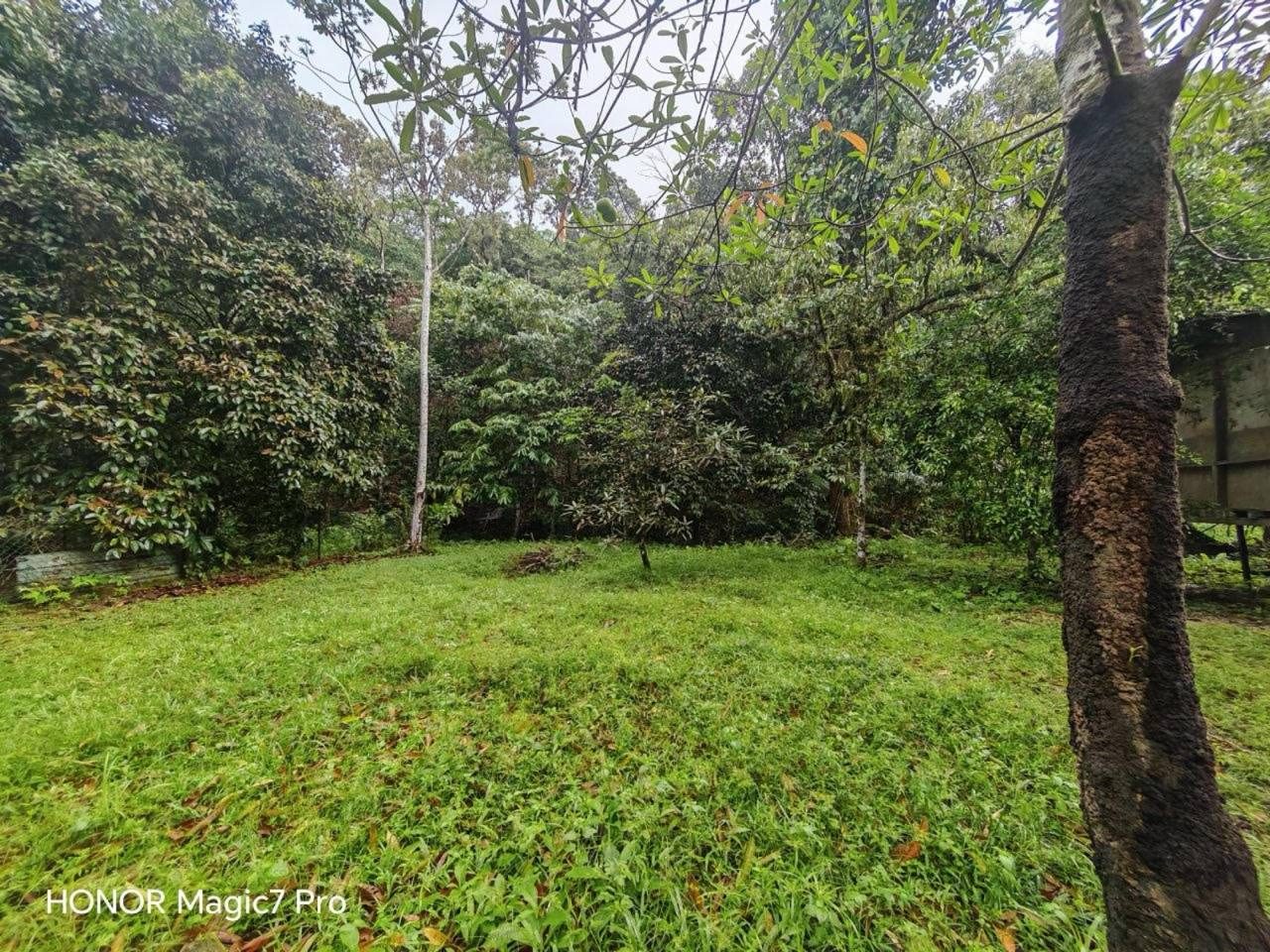Tanah 1 Ekar Bukit Lagong Selayang Gombak Geran Individu