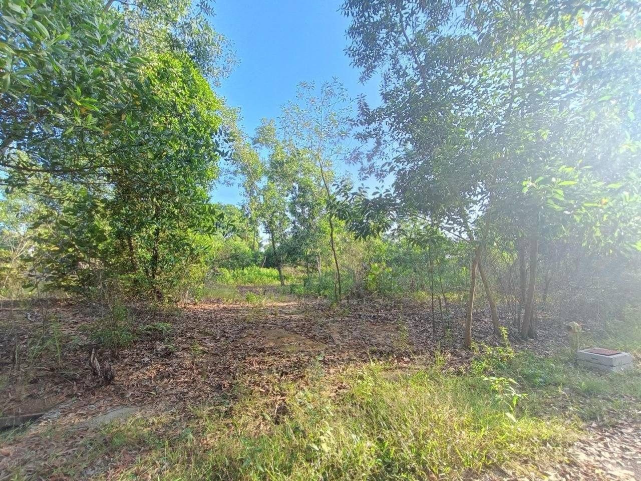 Tanah Lot Banglo 10,333 Sqft Bandar Tasik Kesuma Semenyih Freehold