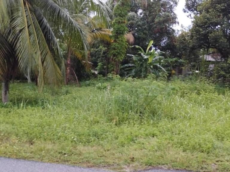 Tanah Bangunan 7800 sqft Simpang Pulai Perak Dekat Tol & Jalan Gopeng BG