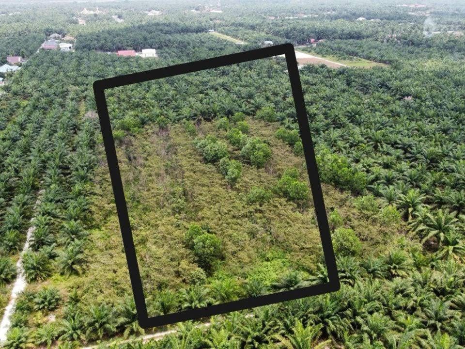 Tanah Pertanian 4.5 Ekar Sungai Kelambu Banting Selangor 1st Layer Dekat WCE SKVE