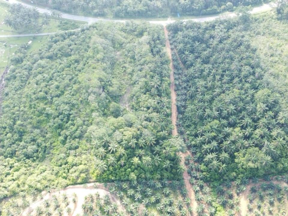 Tanah Pedas Negeri Sembilan 8 Ekar Freehold 2 Lot Open Title Tepi Jalan Utama