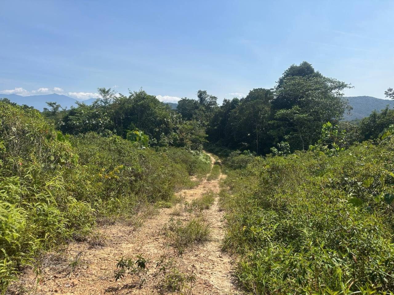 Tanah Sungai Selisik Ulu Bernam Kuala Selangor 2.7 Ekar Freehold