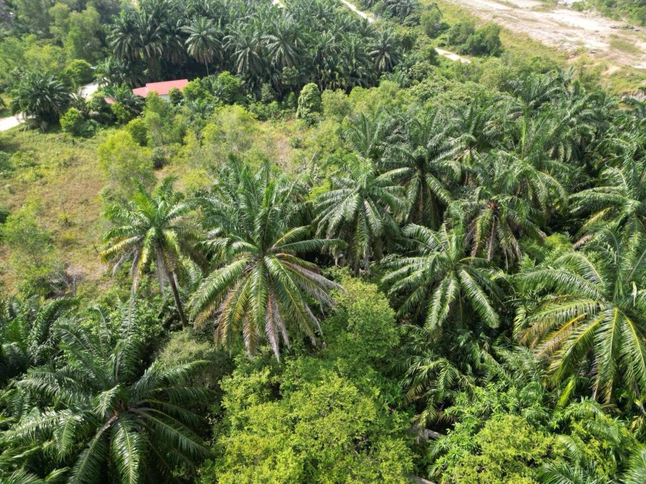 Tanah Bukit Damar Dengkil 1.764 Ekar Berhampiran MEX Highway