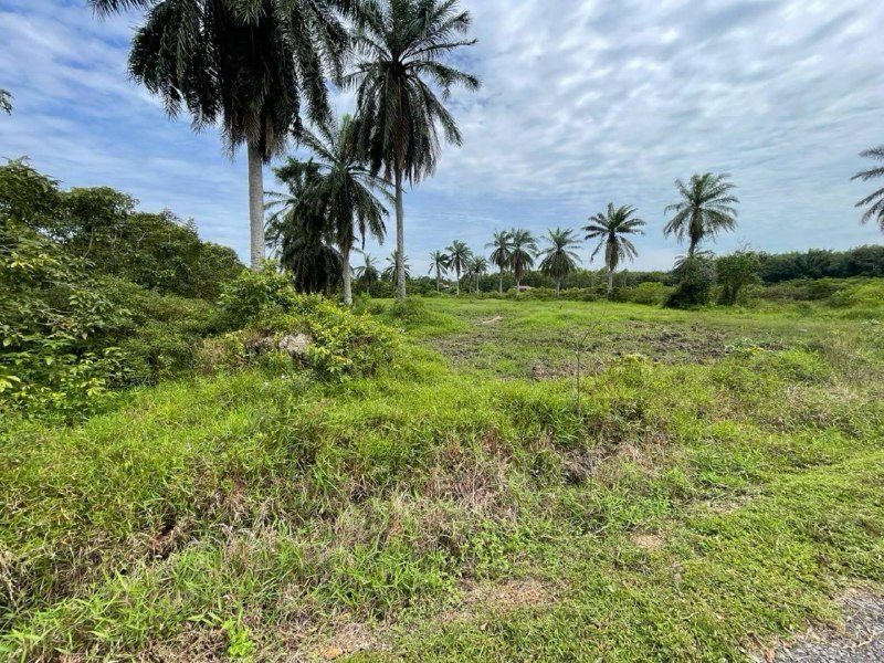 Tanah Kampung 1.26 Ekar Dengan Rumah Sungai Jawi Seberang Perai Selatan Pulau Pinang